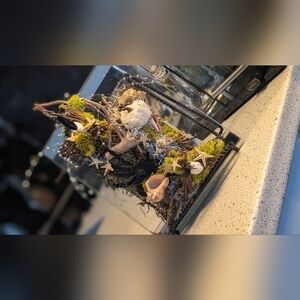 Handmade Whimsical Gothic Coastal Halloween Glass Wall Art